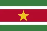 Suriname flag